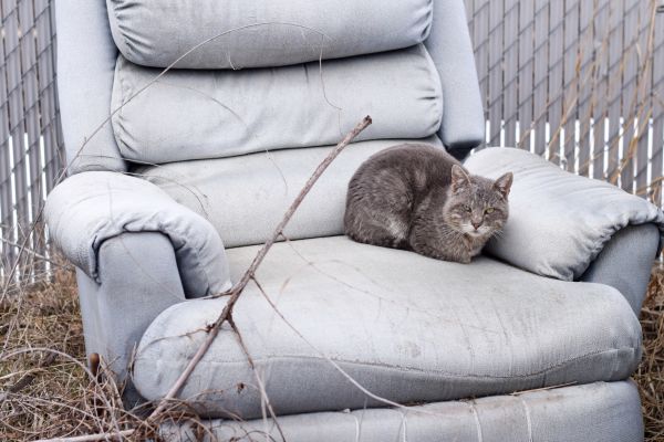 Recliner Disposal in Bettendorf